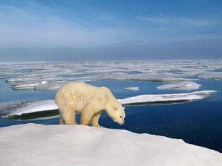 Kuzey Kutbu "Gemiyle Geçilebilir" Halde