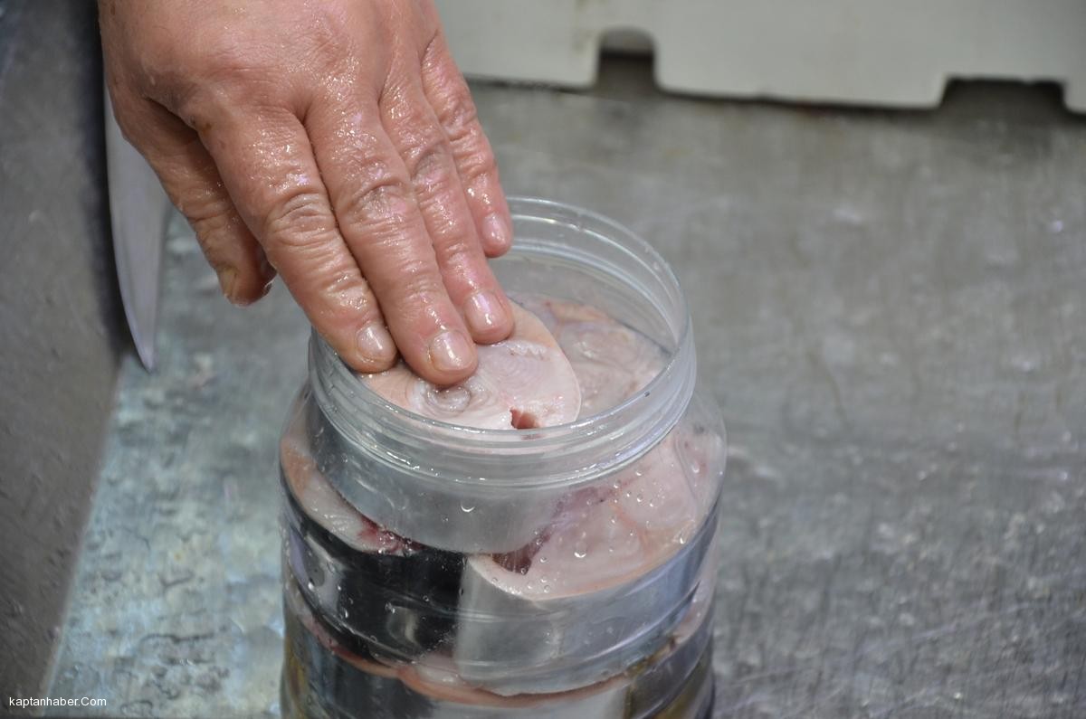 Palamut azlığı lakerda sevenleri de etkiledi