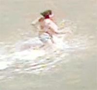 Leopar Köpekbalığı Paniği