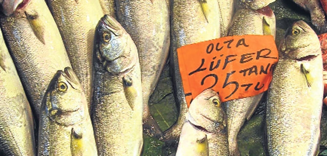 &#039;Son çırpınış’ için AB’den destek