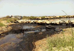 Mağusa Liman Bölgesi'nde Katran Yüzüyor!