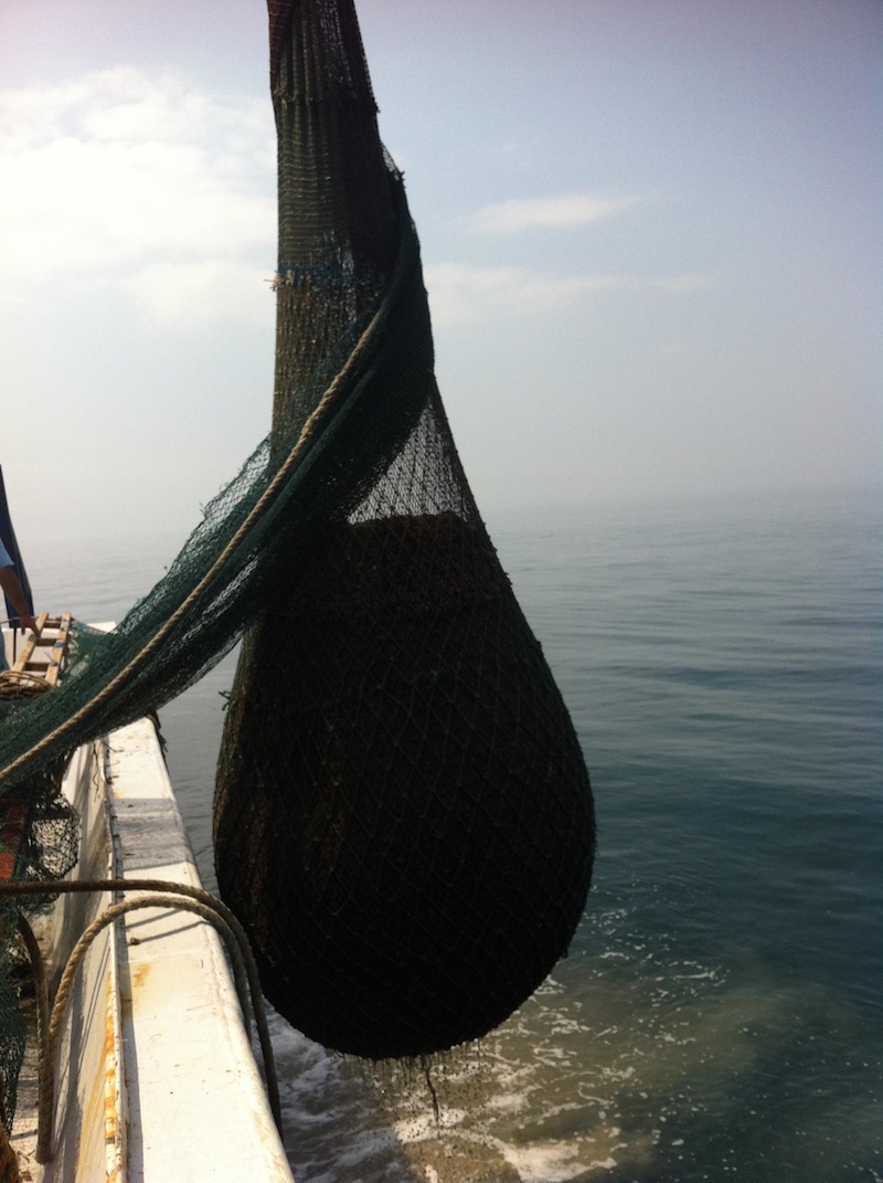 MAREM, Marmara Denizi'ni İzliyor