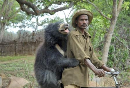 Yetkililerden Enteresan Koruma