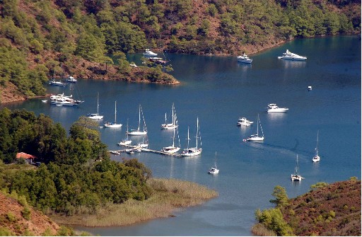 "Guletleri Dünya Markası Yapacağız "