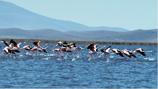 Sultansazlığı Milli Parkına Onay