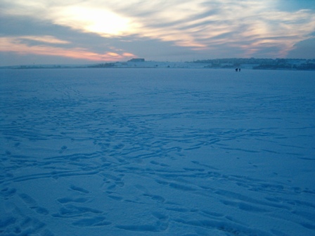 Sazanlar İshal Oldu...