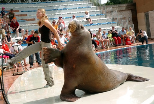 Morsdan Michael Jackson Show