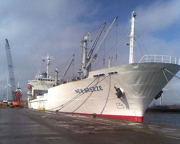 İşte Deniz Otobüsünün Çarpıştığı Gemi...