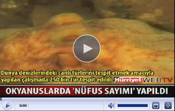 Okyanuslarda Nüfus Sayımı...