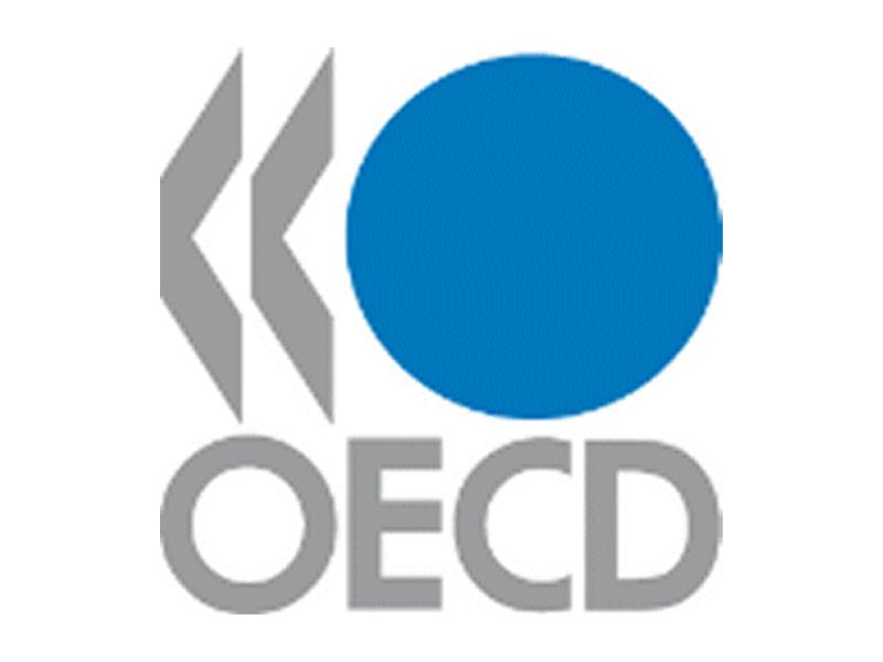 OECD: Türkiye % 6 Küçülecek