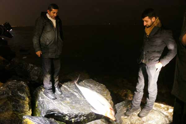 Marmara'da Neler Oluyor?