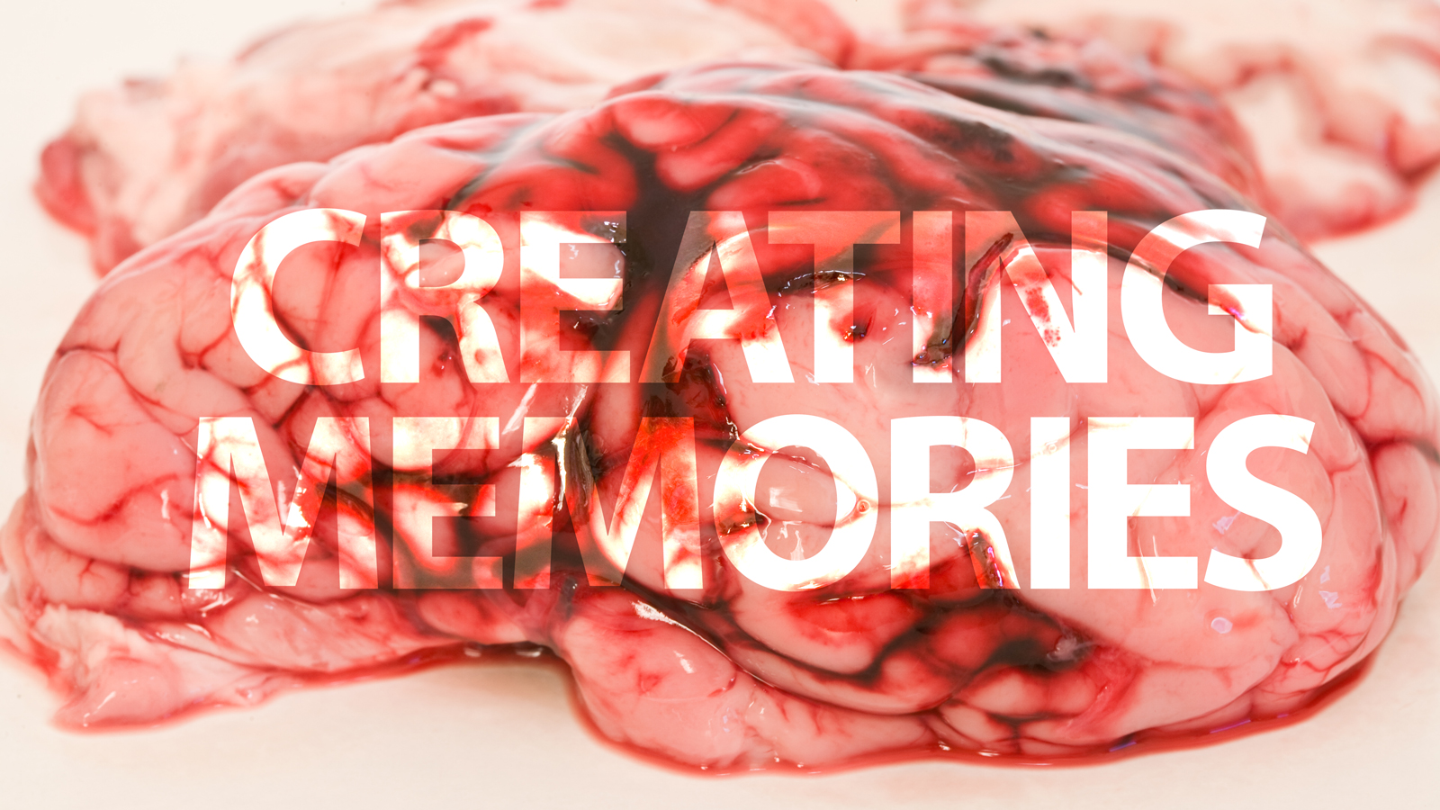 Vadinar Terminali Ek Kapasitesini Devreye Aldı