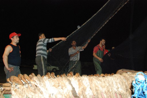 Akdeniz'de Orkinos Avı Başladı