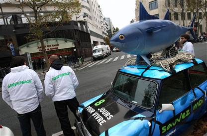 Mavi Yüzgeçli Orkinos Avcılığı Durdurulsun