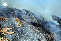 Mersin "Akciğerlerini" kaybetti.