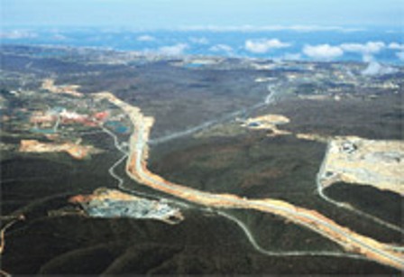 İstanbul’un Akciğerleri Yola Kurban