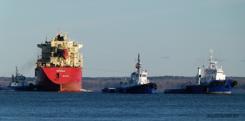 Karaya Oturan &quot;Orsula&quot; Böyle kurtarıldı