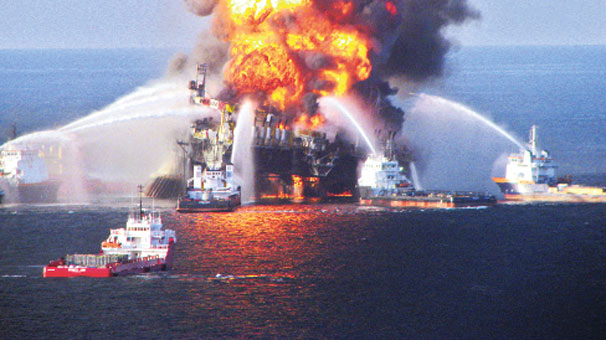 Petrol Sızıntısının Kurbanı Yunuslar