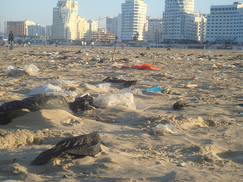 Avrupa’da plaj ve balık kalmayacak