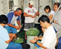 Bilim Adamları Aşçılık da Yapıyor