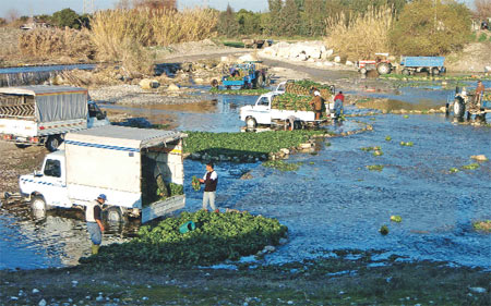 İnsan Sağlığıyla Oynuyorlar