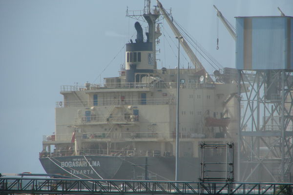 300.000 MT İthal Buğday taşınacak