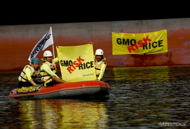 ABD'den Mersin'e Gemiyle GDO'lu Çeltik
