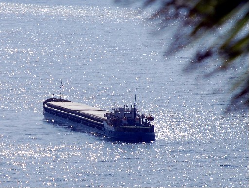 Gazipaşa'da Rus Kuru Yük Gemisi Arızalandı