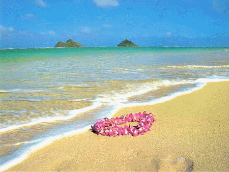 Tembel Turizmcilerin Arazileri Geri Alınıyor