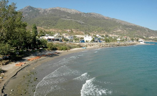 Caretta Carettalar Projeyle Korunacak