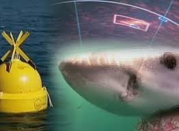 Akıllı Şamandıra Hayat Kurtaracak