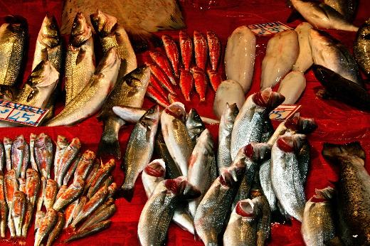 Geçen Yıl En Çok Onlar Avlandı