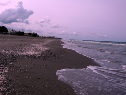 Samsun Sahilinde Mayın Bulundu