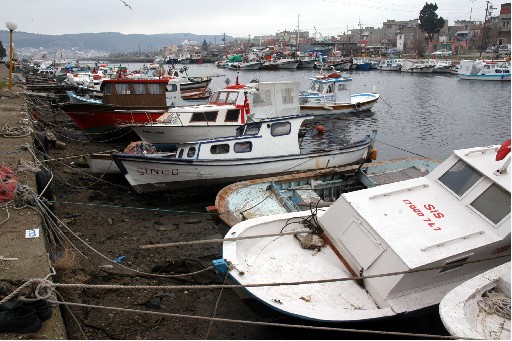 Deniz Suyu Çekildi, 100 Tekne Karaya Oturdu