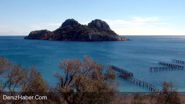 Çiftlik Adası Yarı Fiyatına İhaleye Çıktı