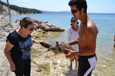 Amatör Denizci Belgesi ve Kısa Mesafe Telsiz Sınavı