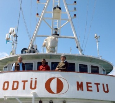 Sesame Geleceğe Işık Tutacak