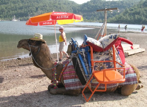 Sıcaklar Hayvanları da Vurdu