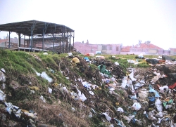 Sinop&#039;ta Çevre Felaketi