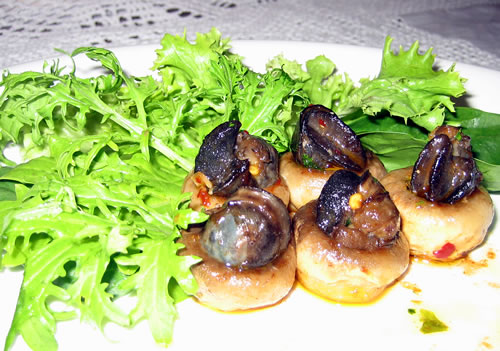 Deniz Salyangozunu da Kriz Vurdu