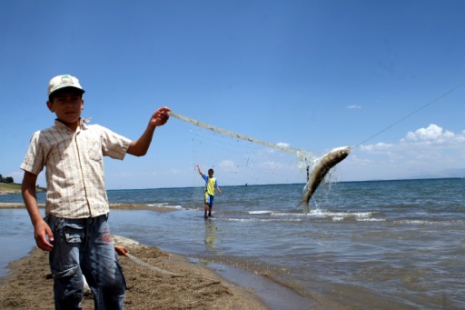 Amatör Avcılara "Ağ" Yasak