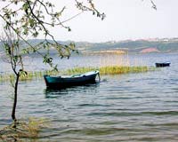 Sapanca Gölü'nde 12 Balık Türü Yok Oldu