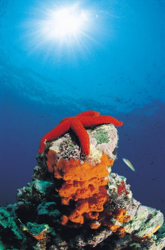 "Suyun İçinde Ve Dışında Huzur Var"