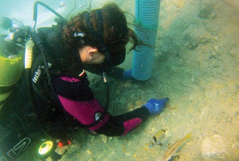 Sualtında Bir Gemi Tabak