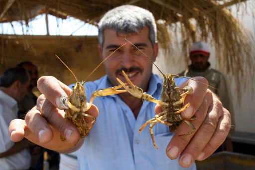 Su ürünleri avcılığında yeni kurallar