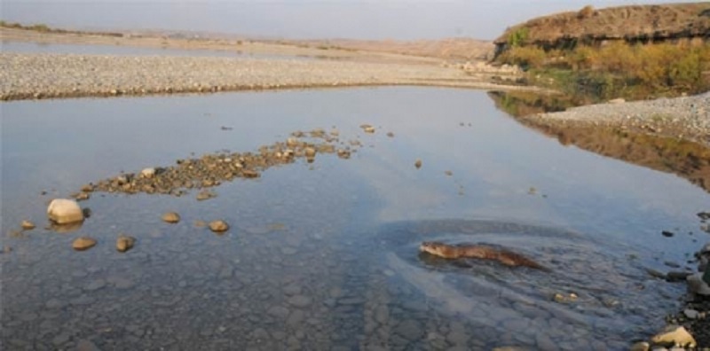 Batman'da Yaşam Göstermesi Sevindirdi