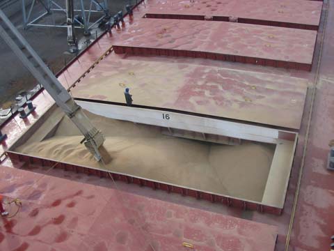 Rusya Tahıl İhracatını Serbest Bıraktı