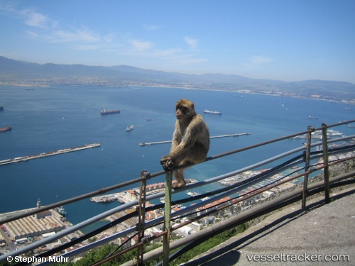 &quot;Cebelitarık&quot; Limanı Müşteri Kaybetti