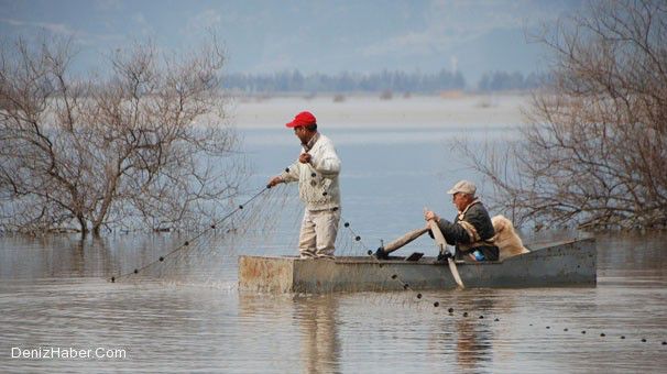 Yazın Pamuk Ektikleri Arazide Kışın Balıkçılık Yapıyorlar