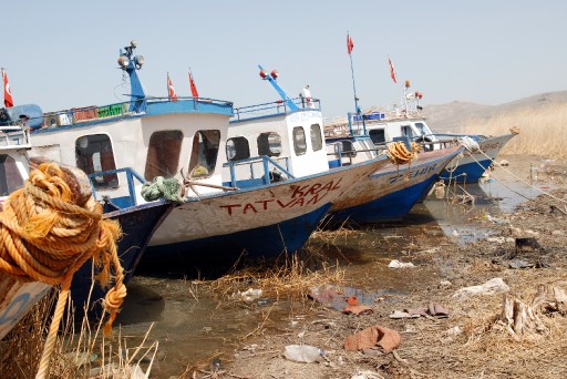 Van'da Balıklar Göç Yolunda